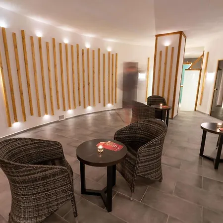 Hotel Frymburk 4* Frymburk