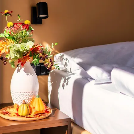 Hotel Frymburk 4* Frymburk