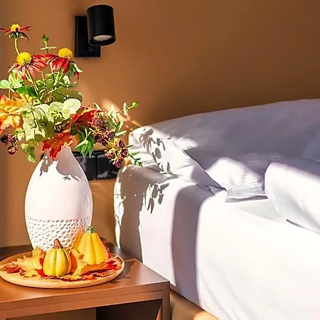 Hotel Frymburk